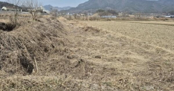 강원특별자치도 원주시 문막읍 반계리 1133-10 답 경매 물건 이미지