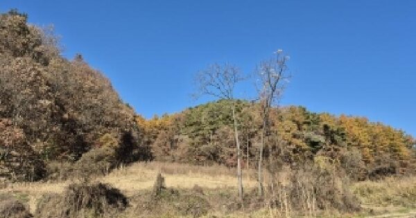 강원특별자치도 횡성군 우천면 하대리 201 전 경매 물건 이미지