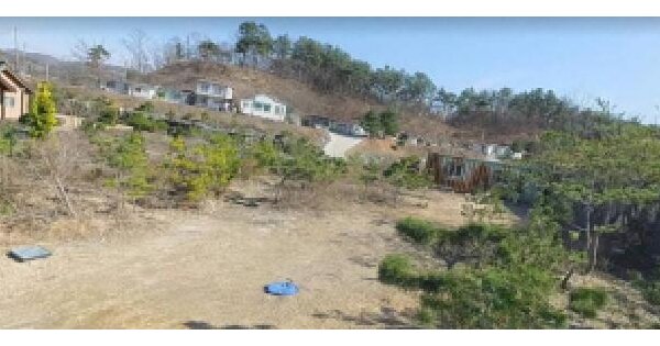 충청북도 충주시 앙성면 조천리 317-10 임야 경매 물건 이미지