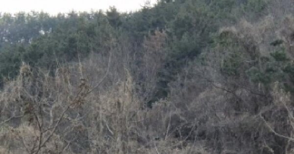 경상남도 고성군 동해면 외산리 396 전 경매 물건 이미지