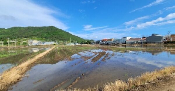 전남광주통합특별시 고흥군 풍양면 풍남리 1527-4 답 경매 물건 이미지