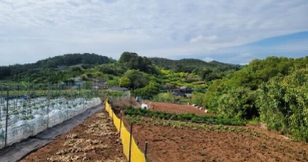 전남광주통합특별시 고흥군 풍양면 풍남리 1128 전 경매 물건 이미지