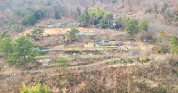 전남광주통합특별시 여수시 소호동 772-6 전 경매 물건 이미지