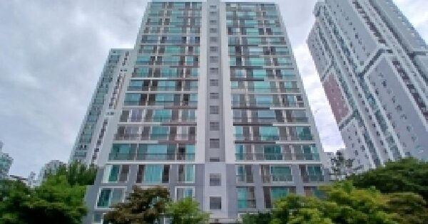 경기도 성남시 분당구 수내동 54 파크타운 123동 5층502호 미지정 경매 물건 이미지