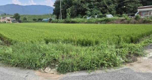 충청남도 천안시 서북구 입장면 시장리 41-1  미지정 경매 물건 이미지