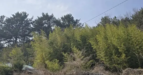 경상남도 거제시 거제면 명진리 582 대지 경매 물건 이미지