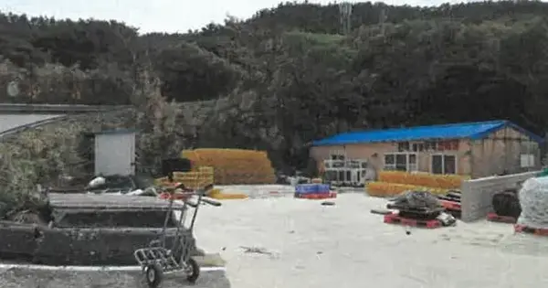 전남광주통합특별시 신안군 흑산면 비리 279 대지 경매 물건 이미지