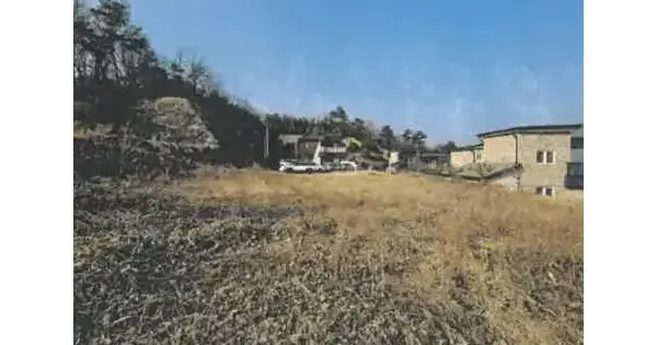 충청북도 충주시 앙성면 조천리 317-8 임야 경매 물건 이미지
