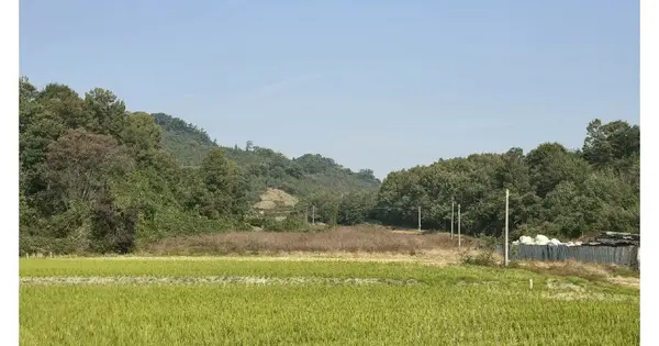 전북특별자치도 군산시 회현면 세장리 593 전 경매 물건 이미지
