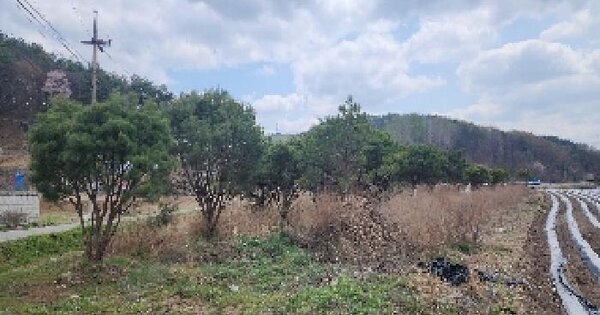 충청북도 옥천군 이원면 지정리 307 전 경매 물건 이미지