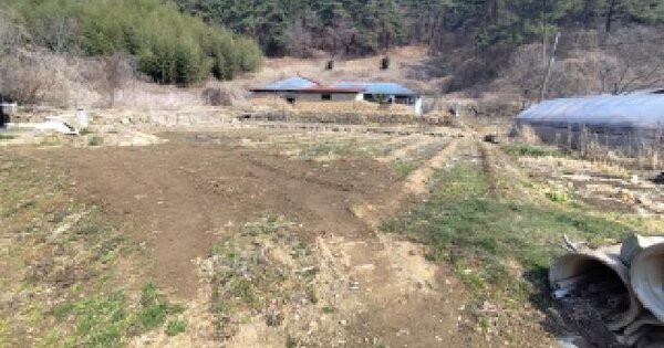 충청남도 서천군 화양면 봉명리 378 대지 경매 물건 이미지