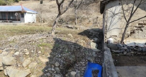 충청남도 서천군 화양면 봉명리 380 전 경매 물건 이미지