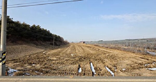 충청남도 예산군 오가면 분천리 677-1 답 경매 물건 이미지