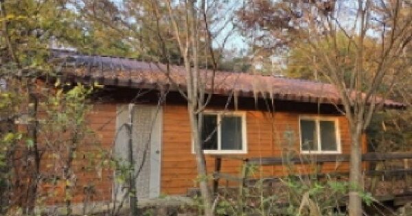 경상북도 청도군 금천면 임당리 산180-18 임야 경매 물건 이미지