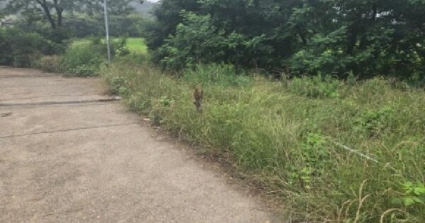 울산광역시 울주군 두서면 미호리 665-1 전 경매 물건 이미지