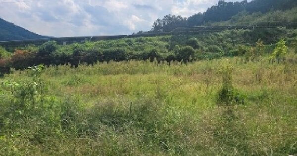 충청남도 공주시 탄천면 운곡리 266-2 대지 경매 물건 이미지