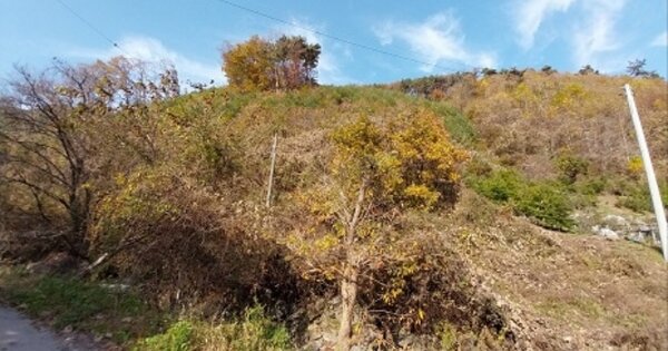 충청남도 공주시 신풍면 조평리 641 전 경매 물건 이미지