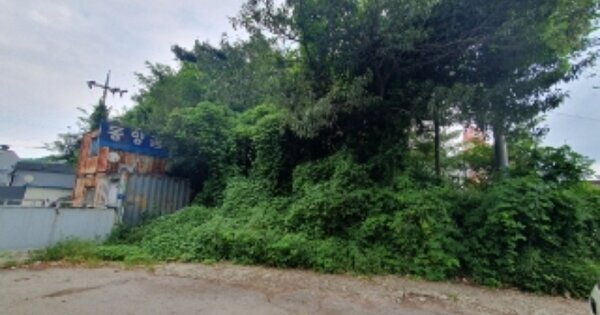 경기도 화성시 만세구 향남읍 동오리 560-31 임야 경매 물건 이미지