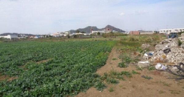 제주특별자치도 서귀포시 안덕면 사계리 2271-1 공장용지 경매 물건 이미지