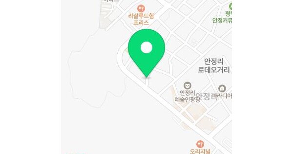 경기도 평택시 팽성읍 안정리 113-14  미지정 경매 물건 이미지