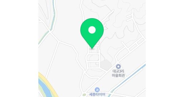 세종특별자치시  장군면 대교리 113-4  미지정 경매 물건 이미지