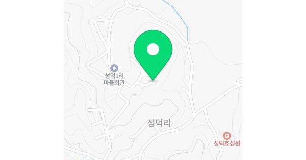 세종특별자치시  금남면 성덕리 347-14  미지정 경매 물건 이미지