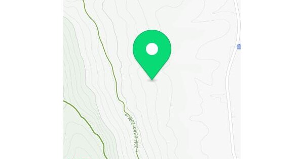 대전광역시 유성구 대정동 산55-20  미지정 경매 물건 이미지