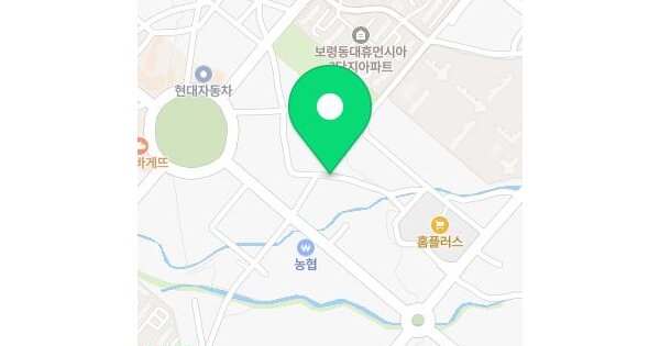 충청남도 보령시 동대동 406-8  미지정 경매 물건 이미지