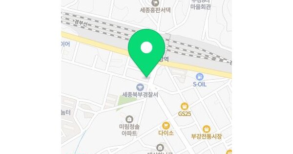 세종특별자치시  부강면 부강리 404-1  미지정 경매 물건 이미지