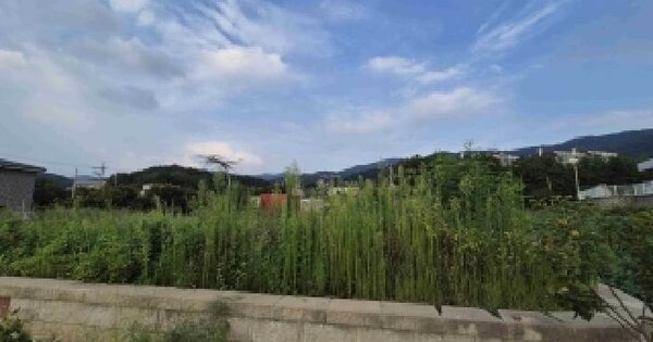 충청남도 천안시 동남구 유량동 153-7  미지정 경매 물건 이미지