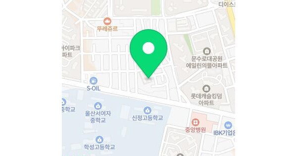 울산광역시 남구 신정동 1637-86 푸른맨션 가동 2층206호 미지정 경매 물건 이미지