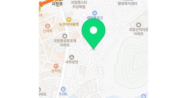 부산광역시 사하구 괴정동 450-1 와이엘드림빌  지하1층비101호 미지정 경매 물건 이미지