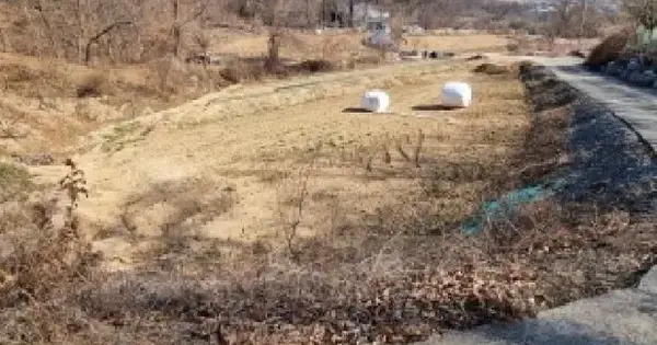 충청남도 천안시 동남구 목천읍 응원리 181-1 임야 경매 물건 이미지