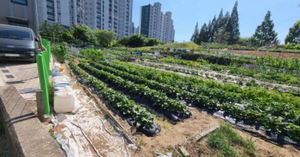 경기도 오산시 원동 638-7 전 경매 물건 이미지