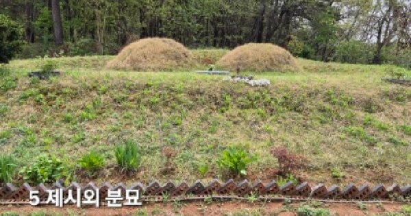 경기도 이천시 부발읍 고백리 617 전 경매 물건 이미지