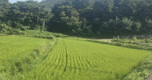 울산광역시 울주군 상북면 명촌리 469 답 경매 물건 이미지