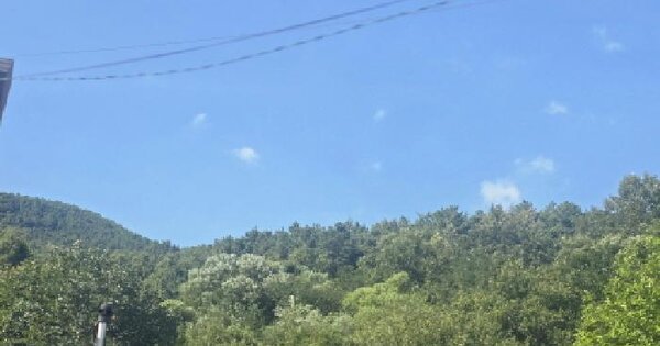 울산광역시 울주군 상북면 등억알프스리 산91 임야 경매 물건 이미지