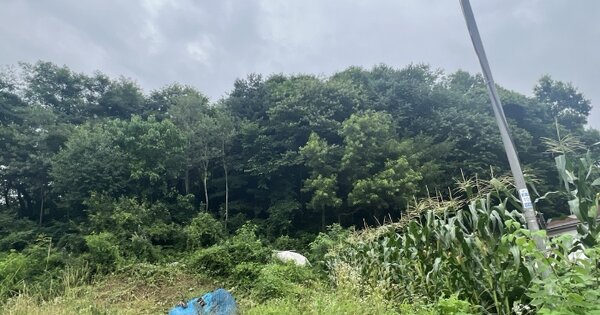 경기도 양평군 청운면 용두리 510-35 임야 경매 물건 이미지