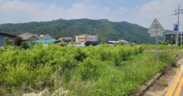 경기도 양평군 청운면 용두리 668-7 답 경매 물건 이미지