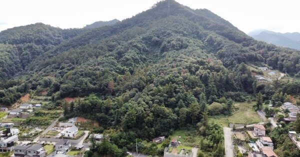 경기도 양평군 서종면 도장리 산51-162 임야 경매 물건 이미지