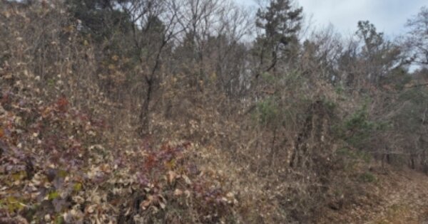 경기도 양평군 청운면 갈운리 산135 임야 경매 물건 이미지
