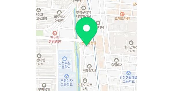 인천광역시 부평구 부평동 451-51 조양휴캐슬  5층501호 미지정 경매 물건 이미지