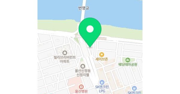 울산광역시 남구 삼산동 1403-3 태화강더뷰  5층501호 미지정 경매 물건 이미지