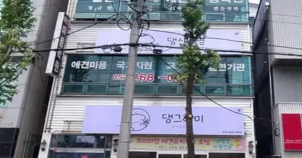 울산광역시 남구 삼산동 180-20  근린시설 경매 물건 이미지