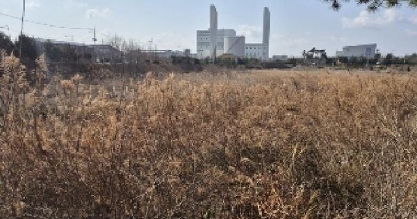전남광주통합특별시 나주시 산포면 신도리 756-105 잡종지 경매 물건 이미지