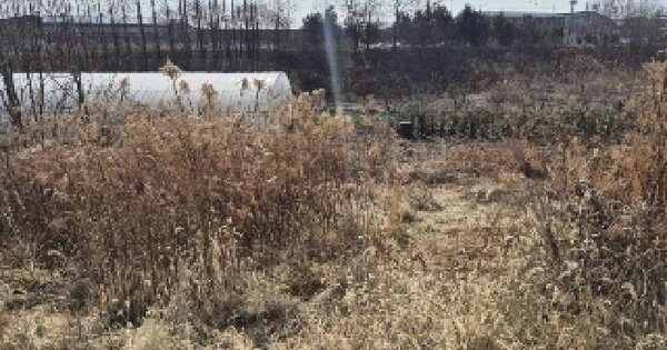 전남광주통합특별시 나주시 산포면 신도리 756-103 임야 경매 물건 이미지