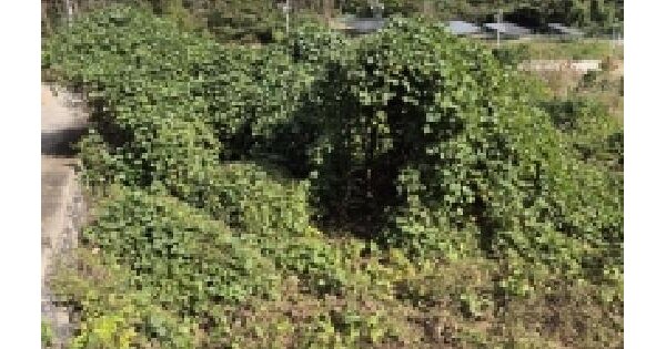 울산광역시 울주군 온양읍 외광리 812-4 답 경매 물건 이미지
