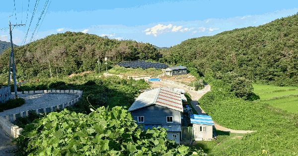 울산광역시 울주군 온양읍 외광리 820-3 전 경매 물건 이미지
