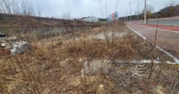 경상남도 함안군 가야읍 사내리 1251-3 대지 경매 물건 이미지
