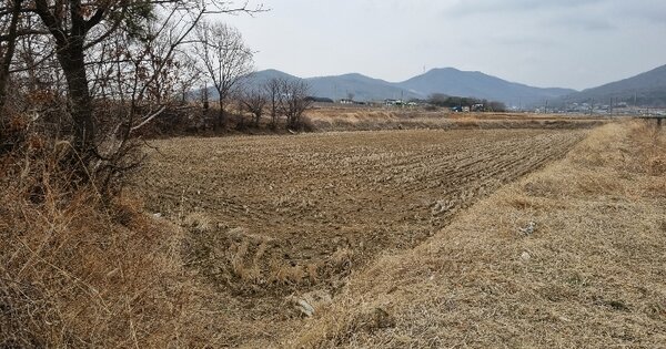 인천광역시 강화군 양도면 건평리 76-2 답 경매 물건 이미지